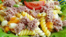 Salade de macaronis au thon facile et rapide