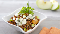 Lentilles tièdes, roquefort et herbes fraîches