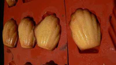 Madeleines au miel simples et bonnes