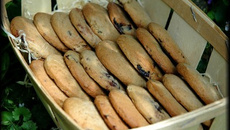 Sablés à la cerise bigarreau