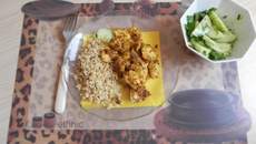 Bouchées de poulet aux épices