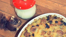 Parmentier de canard, marrons et cèpes