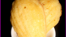 Madeleines Savoyardes