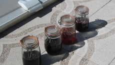 Sirop de fruits rouges façon 'Tante Hélène'