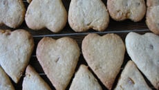 Schwowe bredele - Sablés de Noël, citron, orange, cannelle