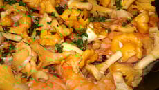 Méli-mélo de Girolles  et crevettes tièdes en sauce  vinaigrette biphasée Amora