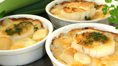 Cassolettes de saint-jacques