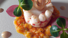 Tartare de langoustine, chèvre frais et bouillon