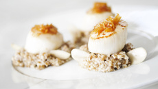 Noix de Saint-Jacques rôties au caramel ambré de fructose, parfum de citron jaune et risotto d'épeautre aux amandes fraîches