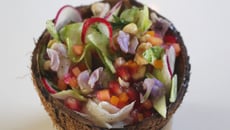 Ceviche à la Mexicaine