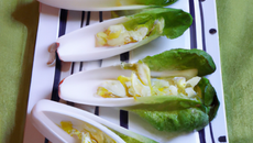 Barquettes d'endives rafraîchissantes