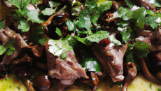 Râbles de lapin sautés aux morilles et à la coriandre