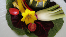 Légumes du soleil farcis