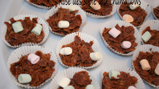 Rose des sables aux chamallows