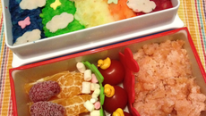 Bento coloré
