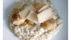 Risotto de Saint jacques