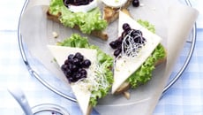Toasts au Fromage de Chèvre avec Trempette aux Myrtilles