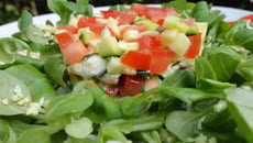 Salade de courgettes crues à l'huile de cameline