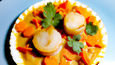 Coquille Saint-Jacques dans sa coquille, huile de curry et carottes fondantes