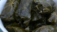 Feuilles de vigne farcies