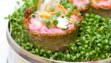 Petits nids terre-mer au Roquefort