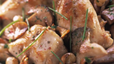 Lapin aux raisins et champignons des bois