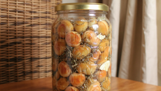 Conserve de sanguins à l'huile