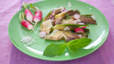 Artichauts poivrades crus, parmesan et huile d'olive bien verte