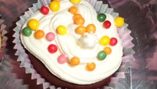 Cupcakes au chocolat et sa crème chantilly