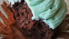 Cupcakes menthe chocolat