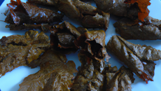 Koupepia : feuilles de vigne farcies