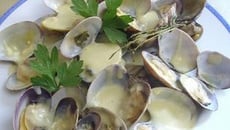 Palourdes au vin blanc