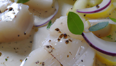 Carpaccio de haddock
