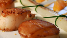Coquilles Saint-Jacques et asperges du Blayais grillées, maltaise mandarine et cardamome