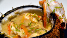 Melle Gambette et son Valentin Coco originale