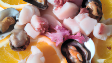Frutti di mare crudo