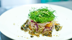 Les Fenouils du Jardin en fine julienne aux oranges confites, les fanes en salade et les tiges en chutney