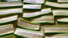 Courgette crue
