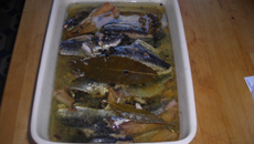 Sardines en conserve