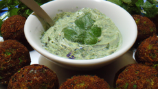 Falafel (végétarien) à la sauce herbes et balsamique