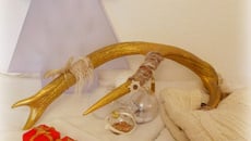 Cadeaux de Noël chocolat au lait, dulcey et noix