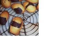 Madeleines marbrées au chocolat
