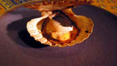 Coquilles saint jacques truffées à la braise