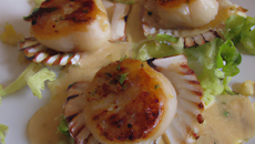 Coquilles Saint Jacques à l'unilatérale et crème d'endives caramélisée