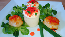 Saint Jacques au paprika et sa mousse de poireaux