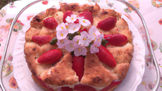 Charlotte aux fraises facile et rapide