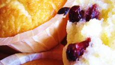 Muffins moelleux au citron et cranberries