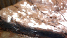 Fondant pour les amoureux de chocolat