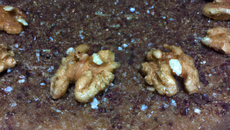 Gâteau à la poudre de noix