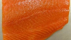 Filet de saumon au four sauce normande